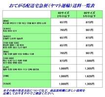 【 お得な大容量 360日分 】 100mg 360カプセル ドクターズベスト 高吸収 コエンザイムQ10 ： ベジタリアンカプセル CoQ10_画像4