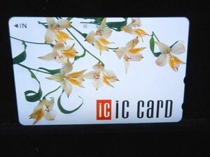 テレカ 50度 IC CARD 白い花 未使用 S-0008