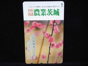  телефонная карточка 50 частотность ежемесячный . журнал сельское хозяйство Ibaraki слива цветок не использовался S-0162