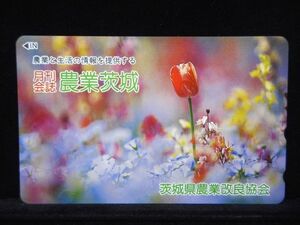 テレカ 50度数 月刊会誌 農業茨城 花 未使用 S-0165