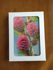 ヒーリングハーブス社 フラワー・ポストカード40枚入り♪新品■Healing Harbs Flower Cards■定価¥4950■フラワーカード