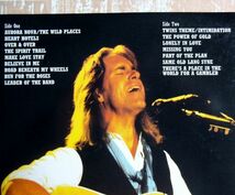 0/輸入版中古LＤ☆DAN　FOGELBERG LIVE☆ダン・フォーゲルバーグ_画像3