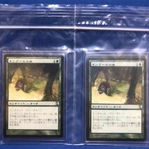 マングースの血/Aspect of Mongoose日本語版MTG TSP 4枚セット 2_画像4