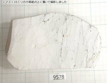 1円スタート 純三河 白名倉 コマ 細 刀剣用 1513g 天然砥石 三河白名倉 名倉砥石 剃刀 日本剃刀 西洋剃刀 床屋 ※黒点あり@9578_画像6