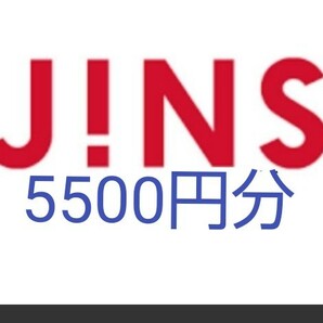 ジンズ　5000円+税（5500円）