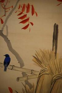 Art hand Auction [Authentic] //Bakudo/Maple leaves and small birds/Silk mounting/Hoteiya hanging scroll HC-667, Painting, Japanese painting, Flowers and Birds, Wildlife