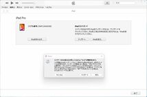 iPad Pro 11インチ 第1世代 256GB シルバー Wi-Fi／セルラー SmartKeyboard ApplePencil2 一式 美品 Apple直販ワンオーナー 送料無料_画像9