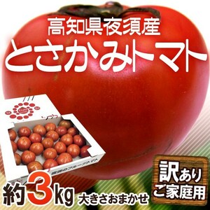 限定1箱！高知県夜須産【とさかみトマト】約3kg 高糖度 夜須のフルーツトマト！！！！