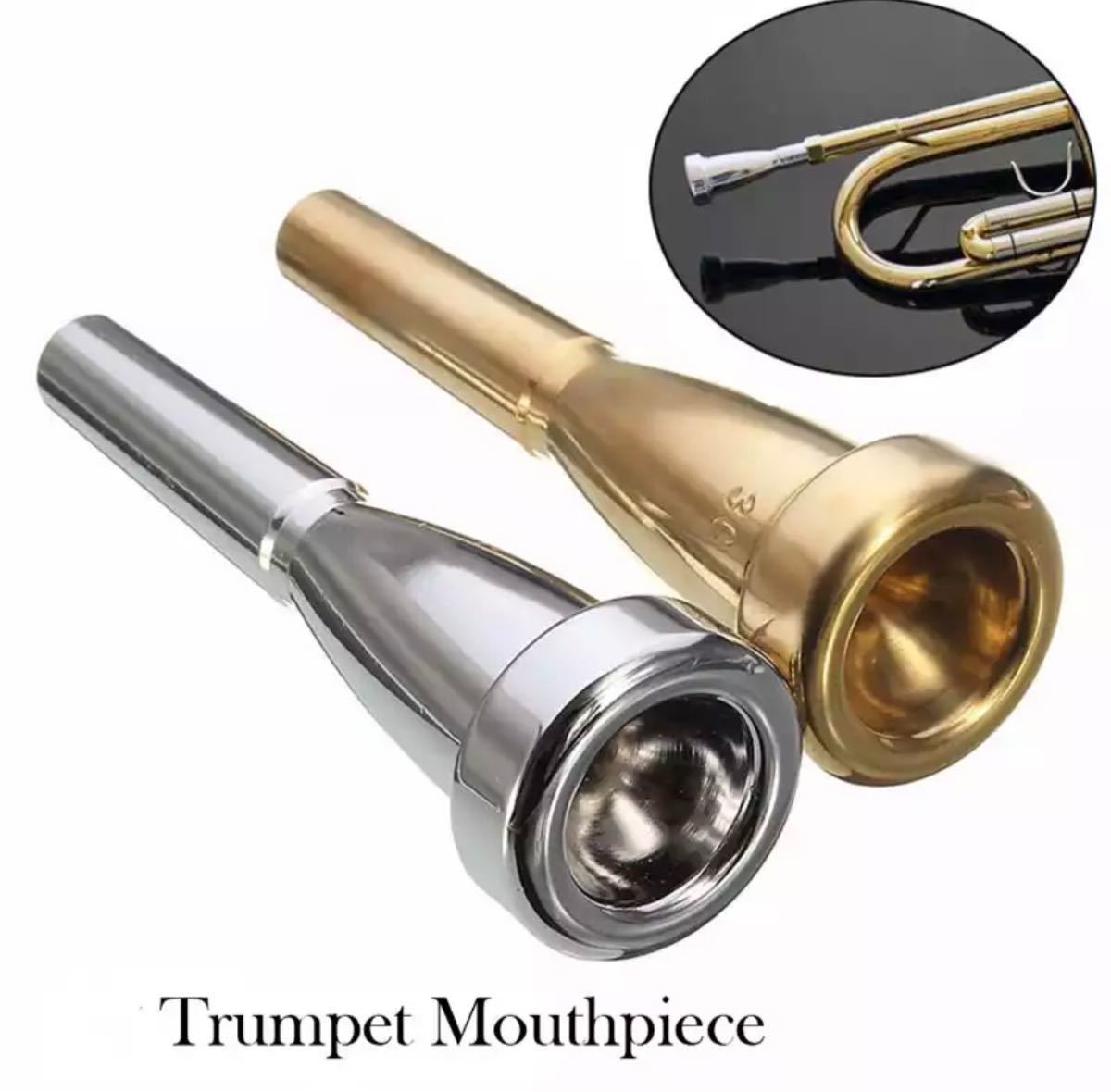 大特価 Pickett Brass トランペット用マウスピース 5E ヘビー www.lram