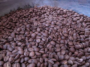 自家焙煎アチャオコーヒー 自然豊かな〜コスタリカ タラス ブラックハニー 焙煎したて100g 送料込み！