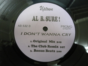 Al B. Sure! - I Don't Wanna Cry メロディアス R&B 12 If I'm Not Your Lover 収録　視聴