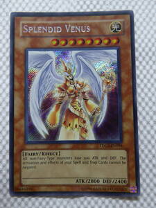 ◆希少◆遊戯王 英語版 TDGS-EN094 Splendid Venus Ｔｈｅ ｓｐｌｅｎｄｉｄ ＶＥＮＵＳ シク シークレット 1st C201