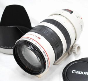 【超美品・純正フード付き】Canon キヤノン EF 35-350mm F3.5-5.6 L USM