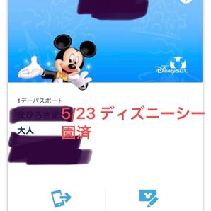 5/23 ディズニーシー