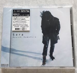  быстрое решение новый товар нераспечатанный Kawamura Ryuichi Sora LUNA SEA RYUICHI CD альбом 