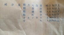 「ゆうメール」全国送料無料 200g 粉エサ 養殖用 餌 魚粉74%上級グレード 短期増体 エサ テトラ 熱帯魚_画像5