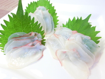 2【Max】北海道産 たこ薄造り 生食用 タコスライス 250g 1円スタート 冷凍 国産 水タコ 刺身 シーフードマックス ・蛸 スライス1P・_画像9