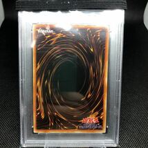 遊戯王 ウルトラレア トゥーンブラック・マジシャン ガール 希少 5つ目個体 GEMMINT PSA10 1円スタート_画像6