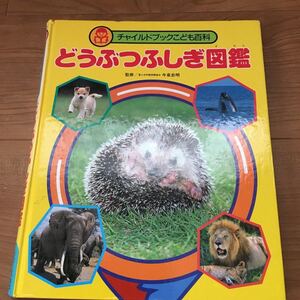 どうぶつふしぎ図鑑