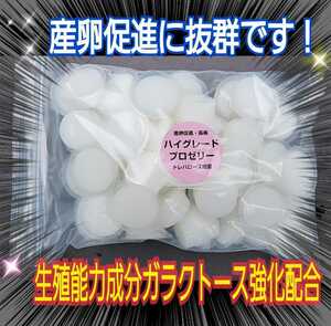 高品質！特選ハイグレードプロゼリー【50個】産卵促進・長寿効果・体力増進に抜群！アミノ酸、ビタミン強化配合！クワガタ餌　カブトムシ餌