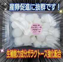 高品質！特選ハイグレードプロゼリー【50個】産卵促進・長寿効果・体力増進に抜群！アミノ酸、ビタミン強化配合！クワガタ餌　カブトムシ餌_画像2