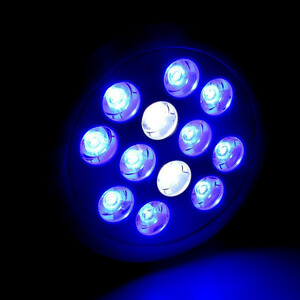 週末セール アクアリウムライト 24W 青10 白2灯 水槽照明 水草 植物育成 海水 LEDライト スポットライト