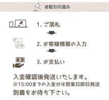 △ ピュアナス LESINO エルシーノサプリ 62粒 未開封 (賞味期限 2022年8月3袋、2023年2月2袋) 5袋セット L-シスチン含有食品 ネコポス可_画像6