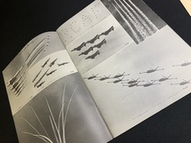 『'73国際航空宇宙ショー公式ガイドブック』_画像4