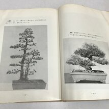 NA/L/松柏盆栽百科/編者：「盆栽世界」編集部/樹石社/昭和46年4月 5版/傷みあり_画像3