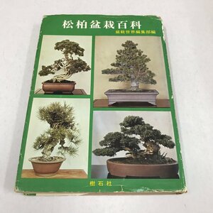 NA/L/ pine Kashiwa bonsai various subjects / compilation person :[ bonsai world ] editing part /. stone company / Showa era 46 year 4 month 5 version / scratch equipped 