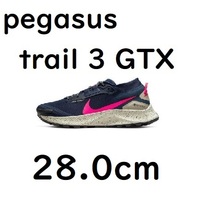 【送料無料】28.0cm DC8793 401 NIKE PEGASUS TRAIL 3 GTX ナイキ ペガサス トレイル ３ GTX ゴアテックス トレイル 紺 ネイビー_画像1