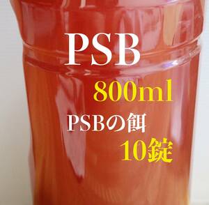 PSB　800ml メダカ　魚　水質浄化　光合成細菌　アクアリウム　水槽【KASUMIめだか】