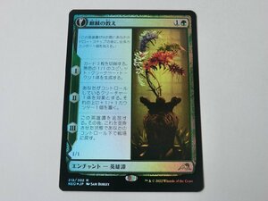 MTG 美品 【麒麟の教え（FOIL）】 （レア） NEO 日 1枚迄