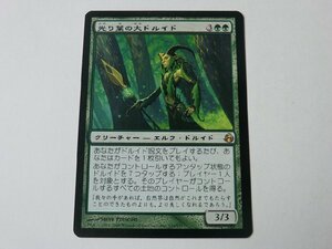 MTG 美品 【光り葉の大ドルイド】 （レア） MOR 日 2枚迄