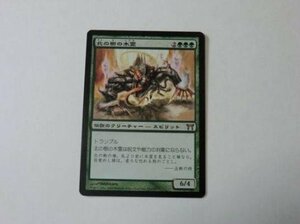 MTG 美品 【北の樹の木霊】 （レア） CHK 日 3枚迄