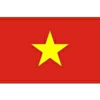 【１０㎏】コーヒー生豆 ベトナム ロブポリッシュ スタンダードコーヒー ベトナム 自家焙煎 カフェ 送料無料
