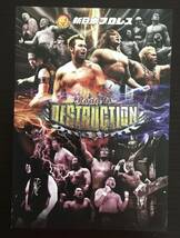 新日本プロレス　パンフレット　Road to DESTRUCTION 　 インタビュー・内藤哲也　オカダカズチカ　小島聡_画像3