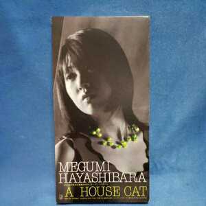 【８センチCD】林原めぐみ　A HOUSE CAT/幸せは小さなつみかさね/アニメ「万能文化猫娘DASH」主題歌/マルケン☆ストア/CDS/激安