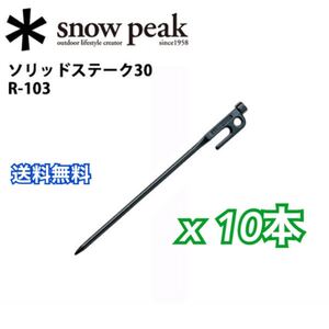 スノーピーク ペグ ソリッドステーク 30 R-103 snowpeak x10