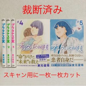 週末限定価格!【裁断済み・スキャン用】プラタナスの実 1-5巻(既刊全巻)