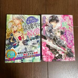 白銀の騎士団長の過剰な情愛　初恋騎士新婚物語　２冊