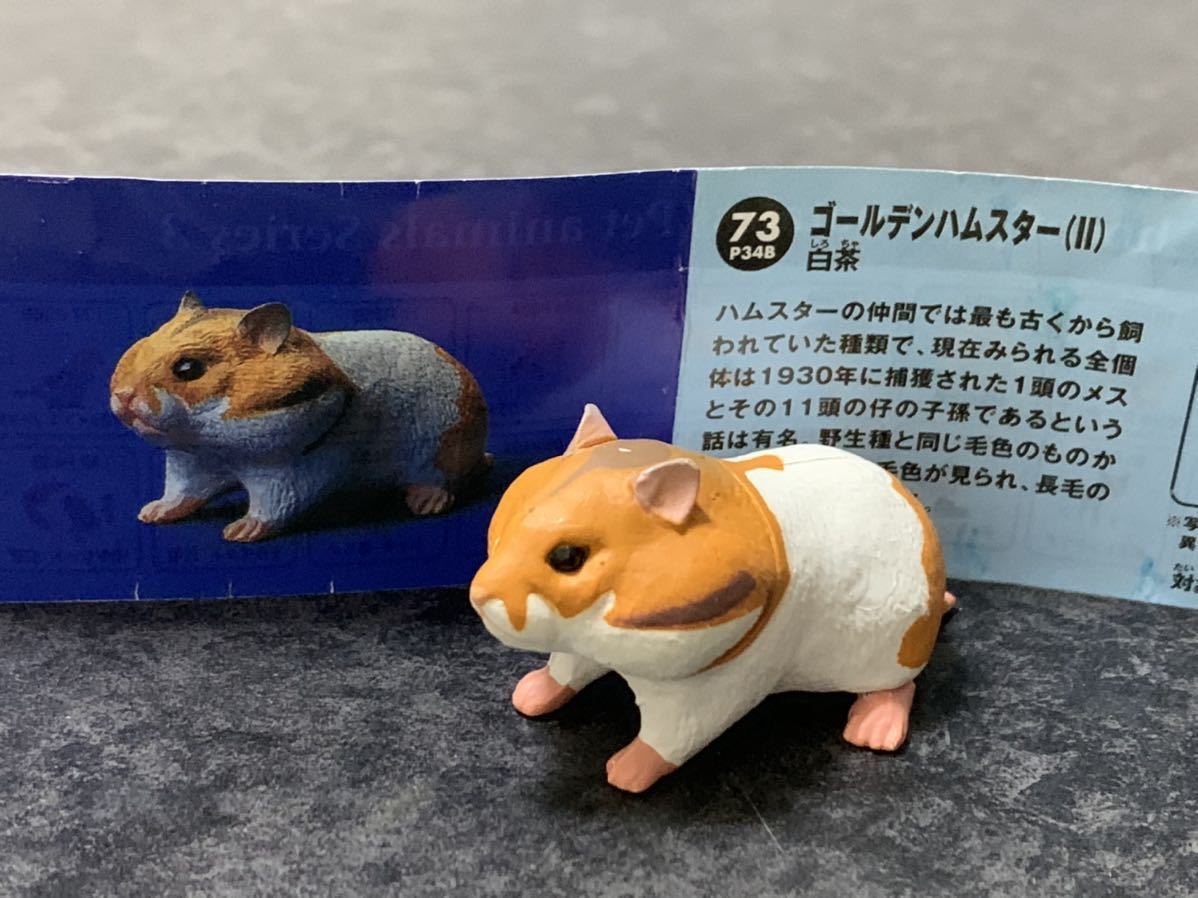 ハムスター アライグマ ハリネズミ 袋未開封全10種 ペット ぷちサンプル ミニチュア ペンギン 飼ってみたいな かわいいあのコ リーメント Hu Jz Ac Ir