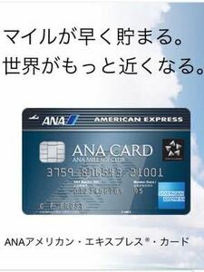 【正規紹介】ANAアメリカンエキスプレスカード 特典 43,500マイル アメックス AMEX 審査緩 ブラック 低収入 主婦 歓迎