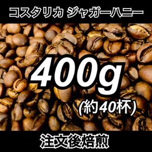 【注文後焙煎】コスタリカ ジャガーハニー 400g 送料無料 コーヒー豆　