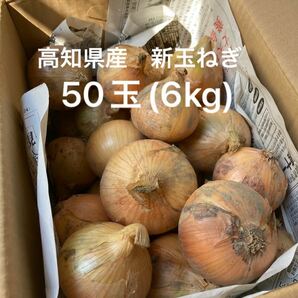 高知県産　新玉ねぎ　50玉(6kg)