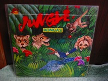 R22 LP KONGAS JUNGLE GP-677 見本盤 白レーベル 1979年 解説書付き_画像1