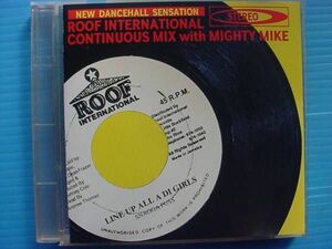 ROOF INTERNATIONAL CONTINUOUS MIX with MIGHTY MIKE 国内盤!