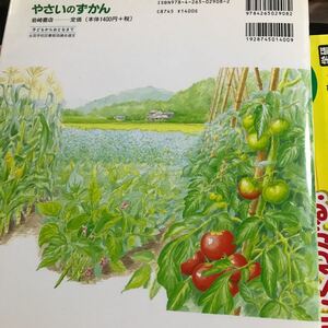 やさいのずかん (絵本図鑑シリーズ)