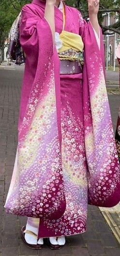 振袖5点セット 】ベージュ 桜 菊 成人式 結納 列席 衣裳|PayPayフリマ