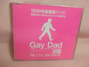 プロモCD★送料100円★ゲイ・ダッド　Ｇａｙ　Ｄａｄ　レジャー・ノイズ　１９９９年最重要バンド 彗星の如く現れたＵＫロックのの救世主